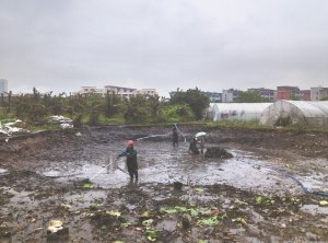 平房河道鱼塘清淤